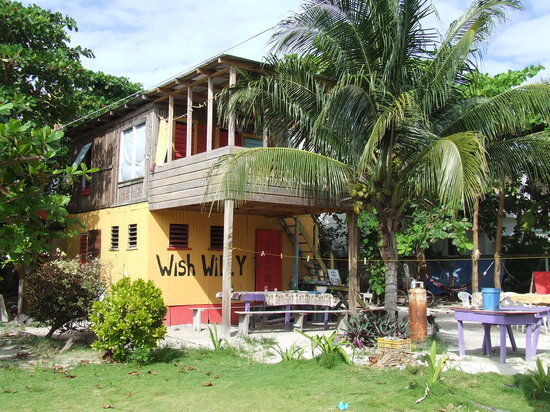 Wish Willy